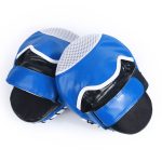Punching Mitts
