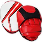 Punching Mitts