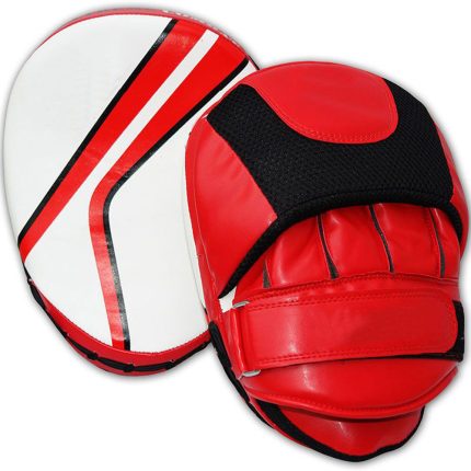 Punching Mitts