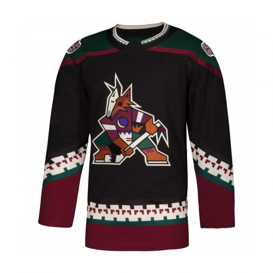 ice hockey (13) Ice Hockey Uniform - Image 1